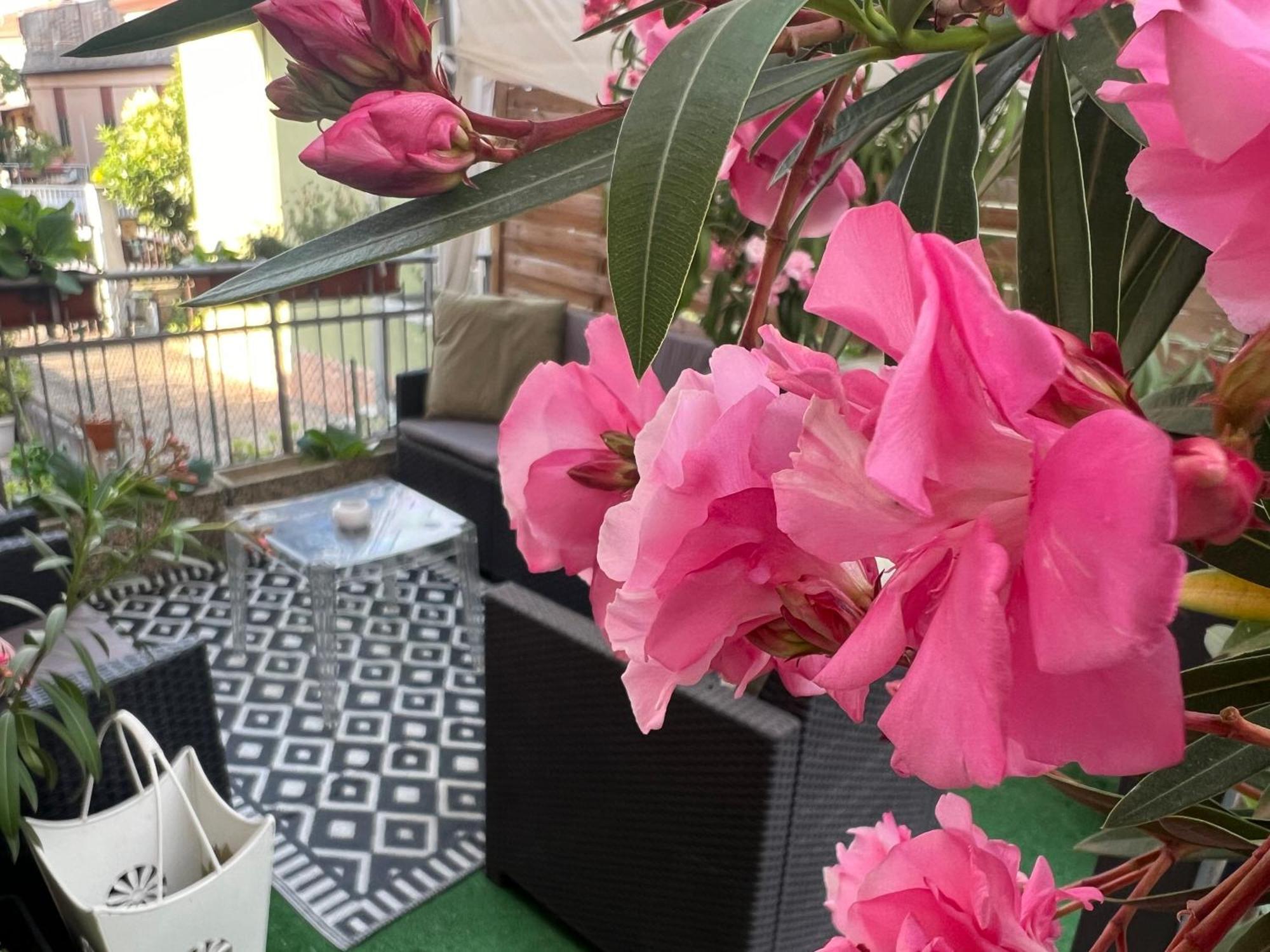New Business And Fun G B Rossi Friendly Casa de hóspedes Verona